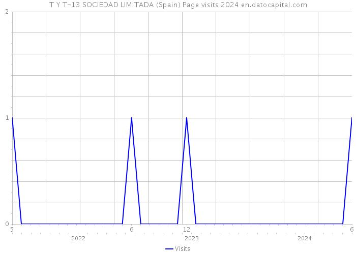 T Y T-13 SOCIEDAD LIMITADA (Spain) Page visits 2024 