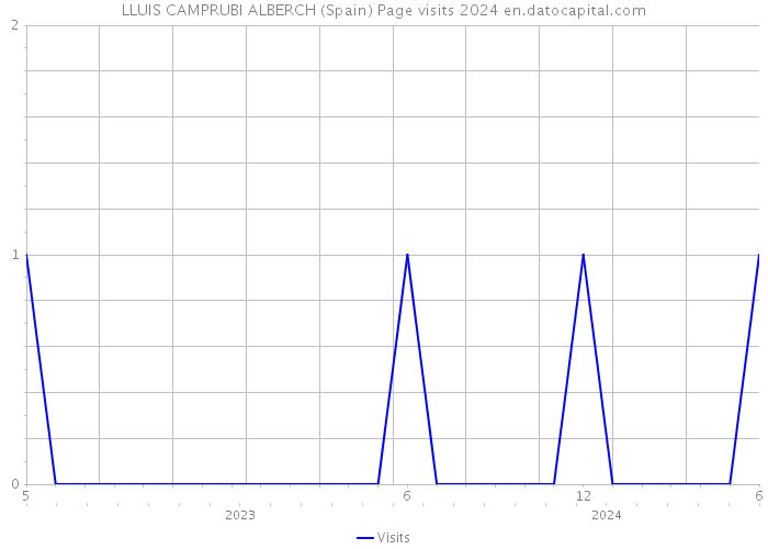 LLUIS CAMPRUBI ALBERCH (Spain) Page visits 2024 