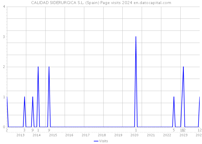 CALIDAD SIDERURGICA S.L. (Spain) Page visits 2024 
