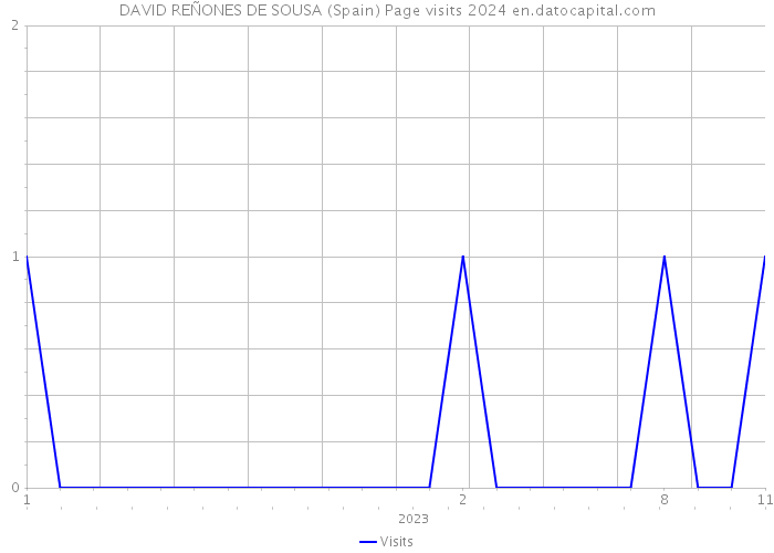 DAVID REÑONES DE SOUSA (Spain) Page visits 2024 