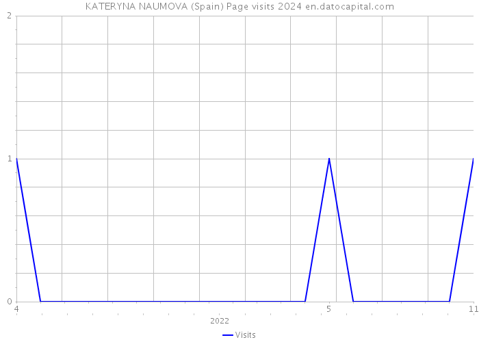 KATERYNA NAUMOVA (Spain) Page visits 2024 