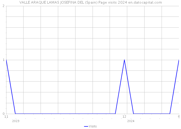 VALLE ARAQUE LAMAS JOSEFINA DEL (Spain) Page visits 2024 