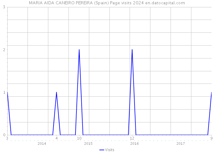 MARIA AIDA CANEIRO PEREIRA (Spain) Page visits 2024 