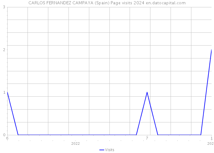 CARLOS FERNANDEZ CAMPAYA (Spain) Page visits 2024 
