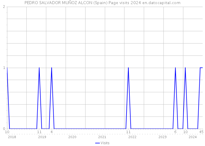 PEDRO SALVADOR MUÑOZ ALCON (Spain) Page visits 2024 
