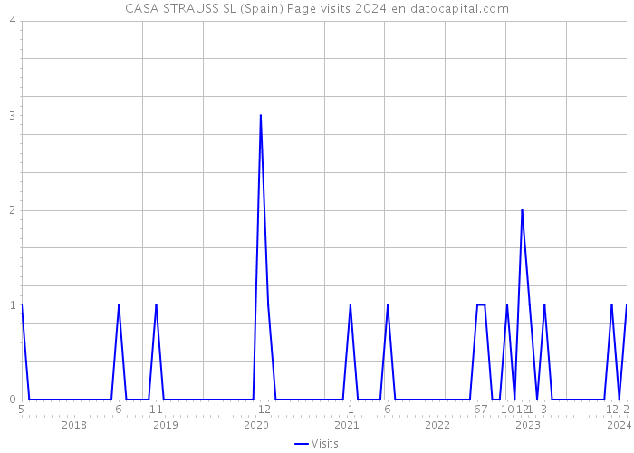 CASA STRAUSS SL (Spain) Page visits 2024 