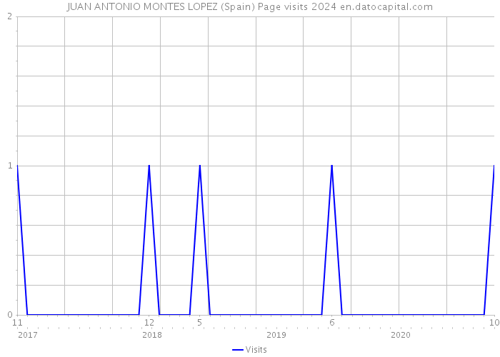 JUAN ANTONIO MONTES LOPEZ (Spain) Page visits 2024 