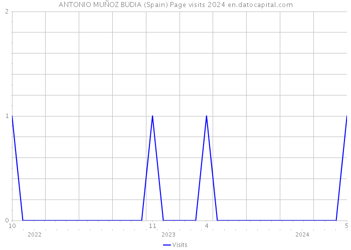 ANTONIO MUÑOZ BUDIA (Spain) Page visits 2024 