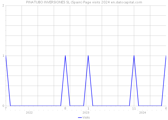 PINATUBO INVERSIONES SL (Spain) Page visits 2024 