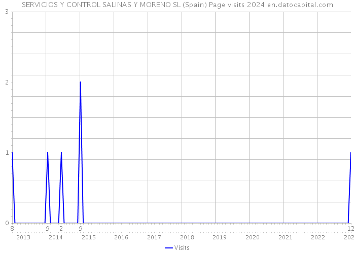 SERVICIOS Y CONTROL SALINAS Y MORENO SL (Spain) Page visits 2024 
