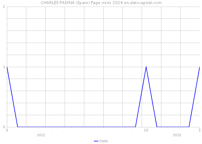 CHARLES PADINA (Spain) Page visits 2024 