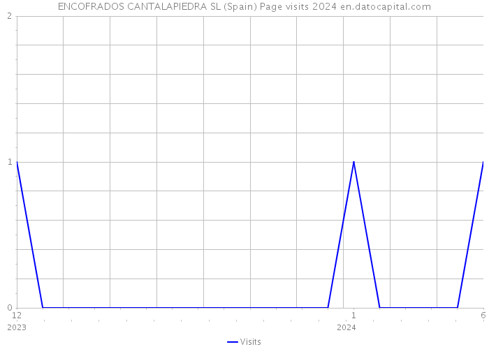 ENCOFRADOS CANTALAPIEDRA SL (Spain) Page visits 2024 