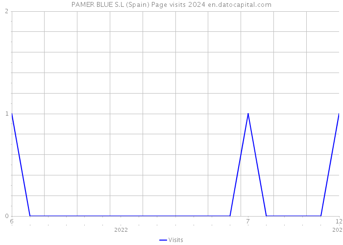 PAMER BLUE S.L (Spain) Page visits 2024 
