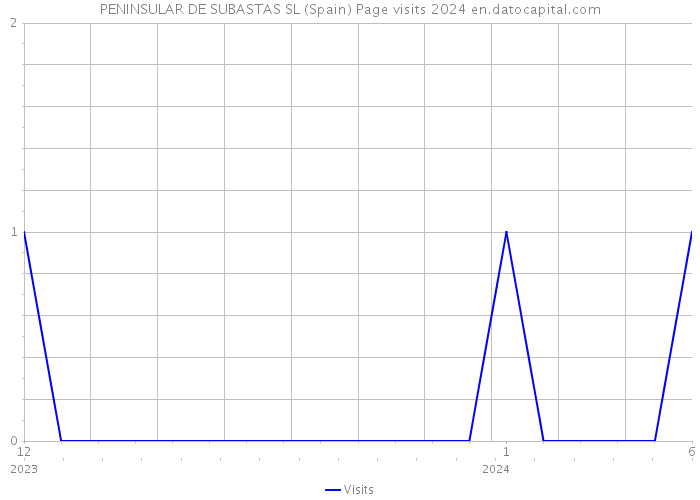 PENINSULAR DE SUBASTAS SL (Spain) Page visits 2024 