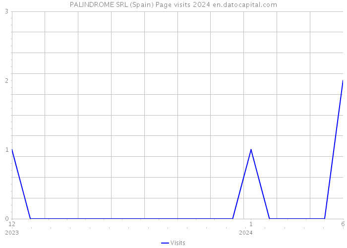 PALINDROME SRL (Spain) Page visits 2024 