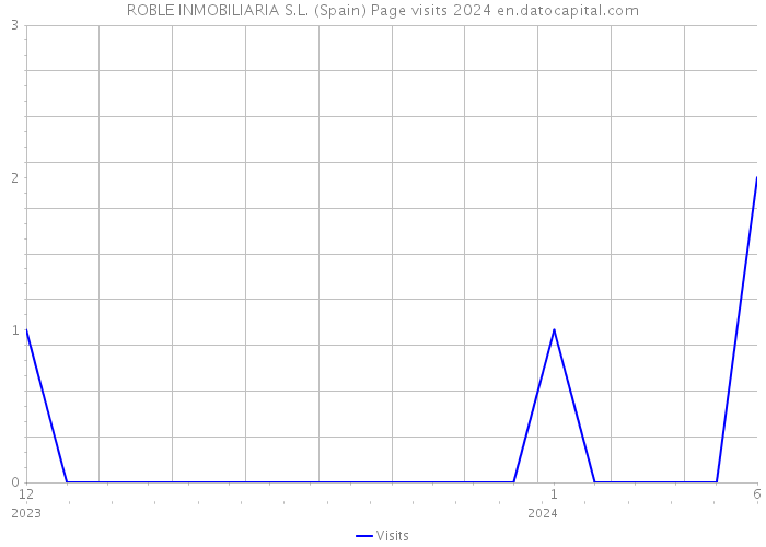 ROBLE INMOBILIARIA S.L. (Spain) Page visits 2024 