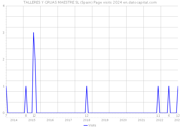 TALLERES Y GRUAS MAESTRE SL (Spain) Page visits 2024 