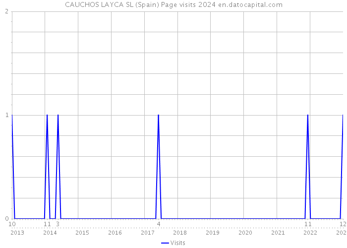 CAUCHOS LAYCA SL (Spain) Page visits 2024 