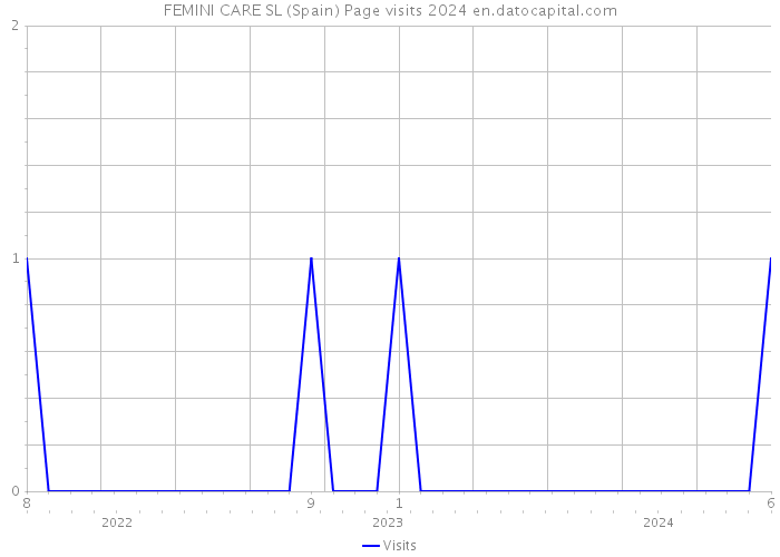 FEMINI CARE SL (Spain) Page visits 2024 