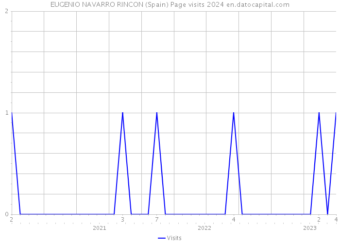 EUGENIO NAVARRO RINCON (Spain) Page visits 2024 