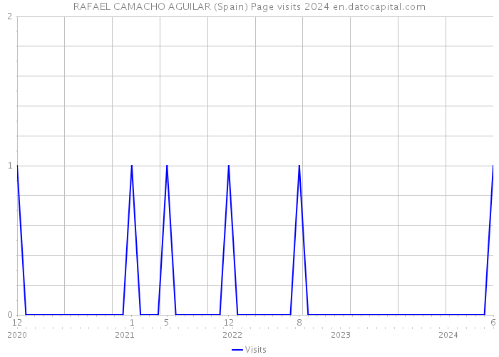 RAFAEL CAMACHO AGUILAR (Spain) Page visits 2024 
