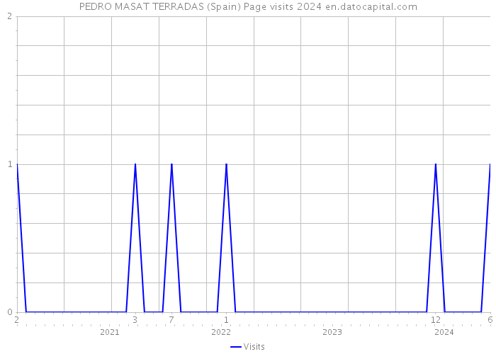 PEDRO MASAT TERRADAS (Spain) Page visits 2024 