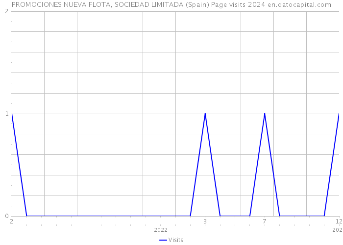 PROMOCIONES NUEVA FLOTA, SOCIEDAD LIMITADA (Spain) Page visits 2024 