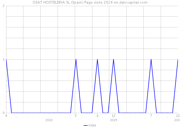 OSAT HOSTELERIA SL (Spain) Page visits 2024 