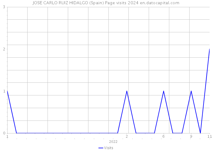 JOSE CARLO RUIZ HIDALGO (Spain) Page visits 2024 