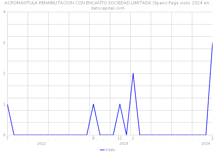 ACROMANTULA REHABILITACION CON ENCANTO SOCIEDAD LIMITADA (Spain) Page visits 2024 
