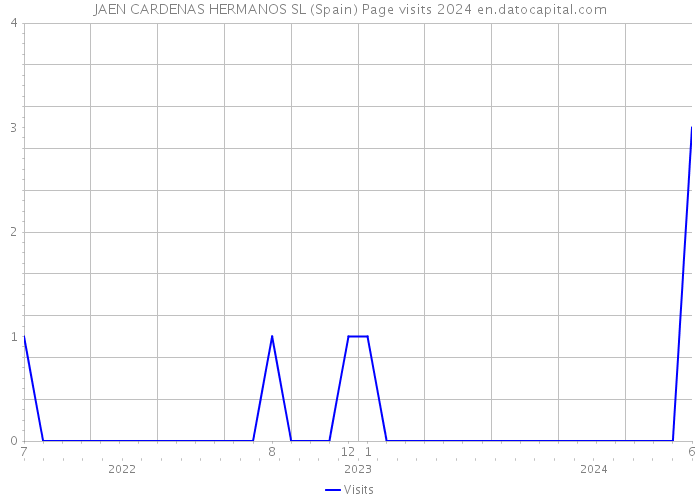 JAEN CARDENAS HERMANOS SL (Spain) Page visits 2024 