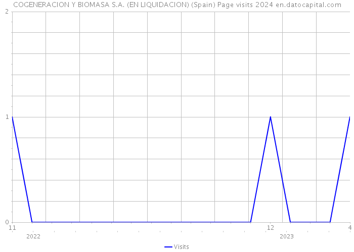 COGENERACION Y BIOMASA S.A. (EN LIQUIDACION) (Spain) Page visits 2024 