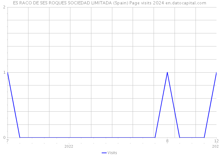 ES RACO DE SES ROQUES SOCIEDAD LIMITADA (Spain) Page visits 2024 