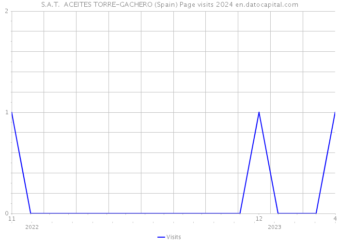 S.A.T. ACEITES TORRE-GACHERO (Spain) Page visits 2024 