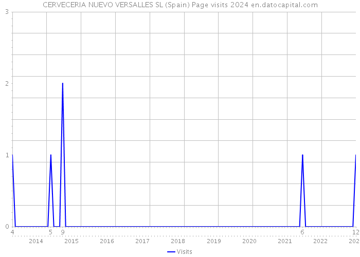 CERVECERIA NUEVO VERSALLES SL (Spain) Page visits 2024 