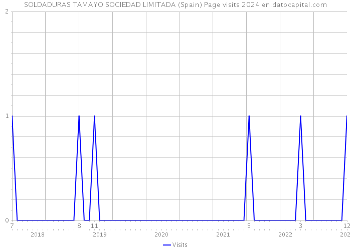 SOLDADURAS TAMAYO SOCIEDAD LIMITADA (Spain) Page visits 2024 