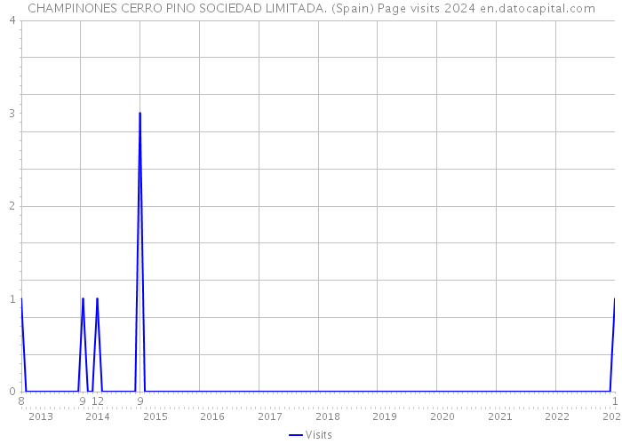 CHAMPINONES CERRO PINO SOCIEDAD LIMITADA. (Spain) Page visits 2024 