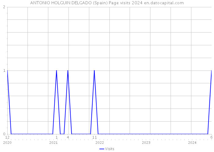ANTONIO HOLGUIN DELGADO (Spain) Page visits 2024 