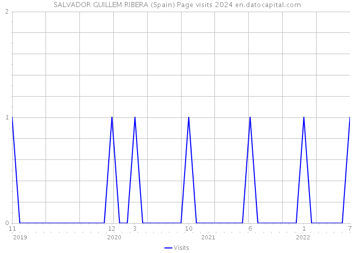 SALVADOR GUILLEM RIBERA (Spain) Page visits 2024 