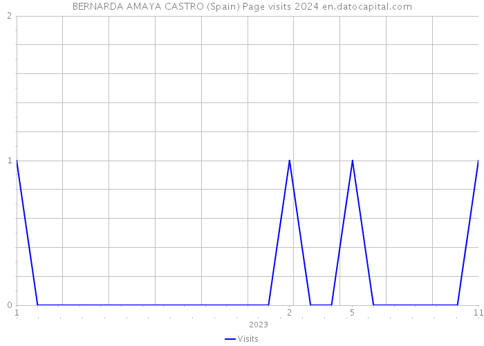 BERNARDA AMAYA CASTRO (Spain) Page visits 2024 