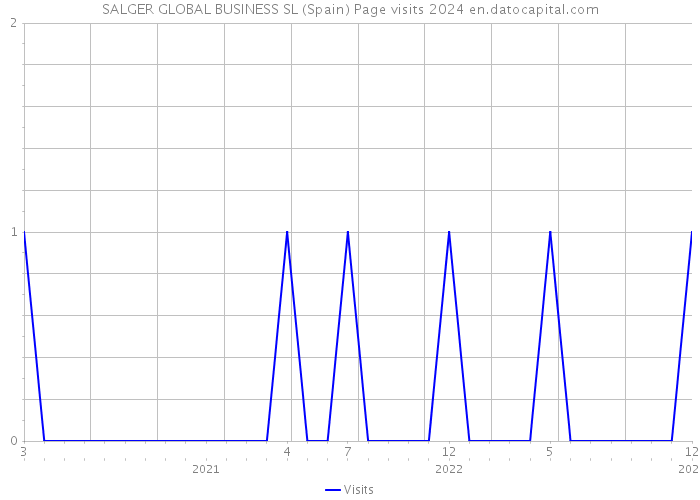 SALGER GLOBAL BUSINESS SL (Spain) Page visits 2024 