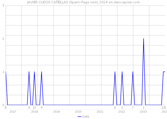JAVIER CUDOS CAÑELLAS (Spain) Page visits 2024 