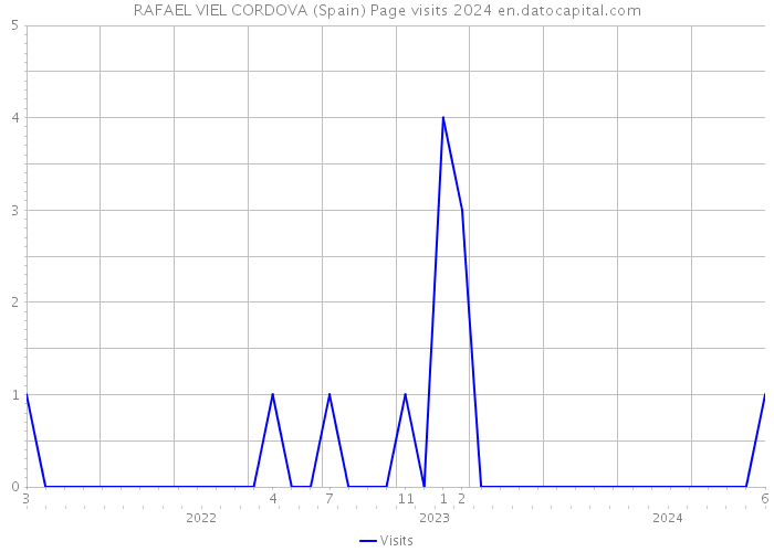 RAFAEL VIEL CORDOVA (Spain) Page visits 2024 