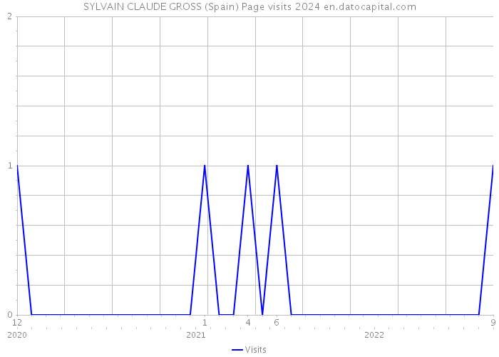 SYLVAIN CLAUDE GROSS (Spain) Page visits 2024 