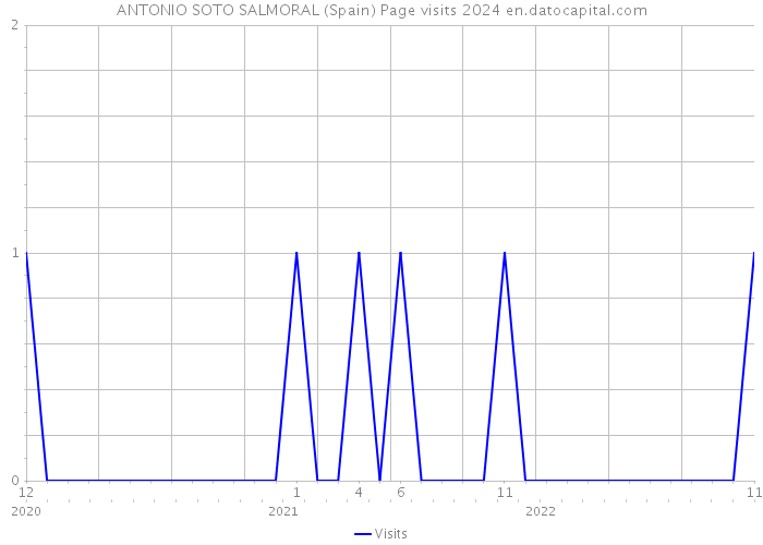 ANTONIO SOTO SALMORAL (Spain) Page visits 2024 