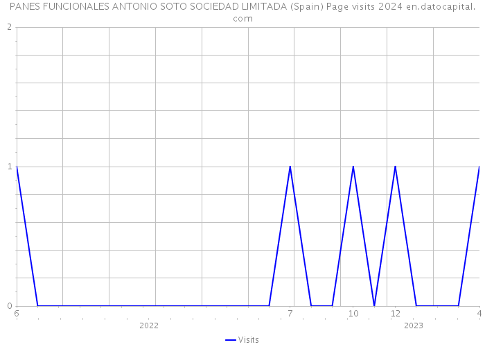 PANES FUNCIONALES ANTONIO SOTO SOCIEDAD LIMITADA (Spain) Page visits 2024 