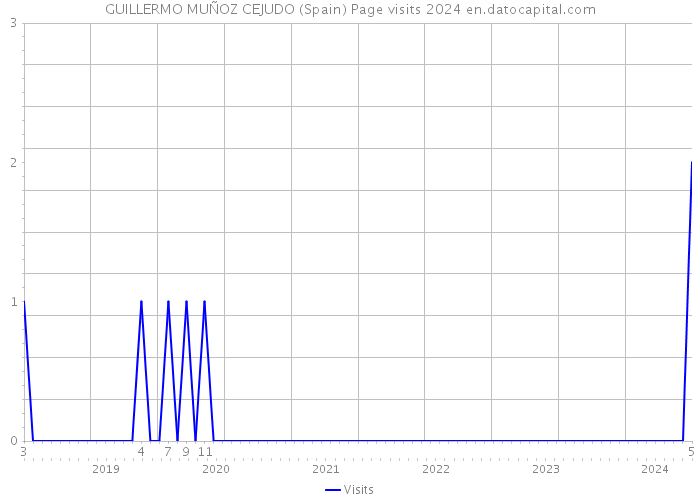 GUILLERMO MUÑOZ CEJUDO (Spain) Page visits 2024 