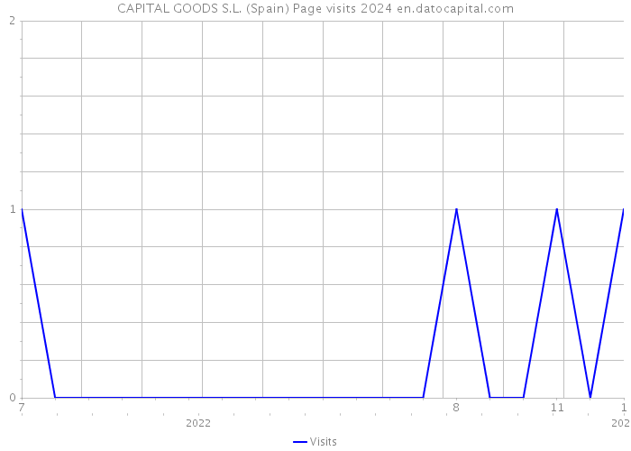 CAPITAL GOODS S.L. (Spain) Page visits 2024 