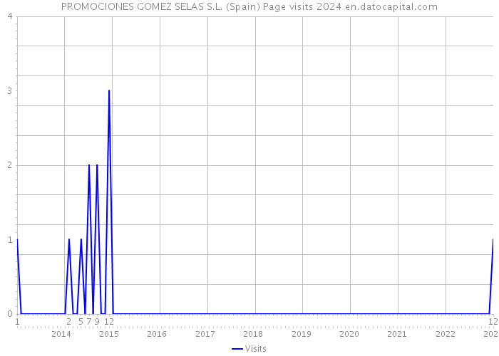 PROMOCIONES GOMEZ SELAS S.L. (Spain) Page visits 2024 