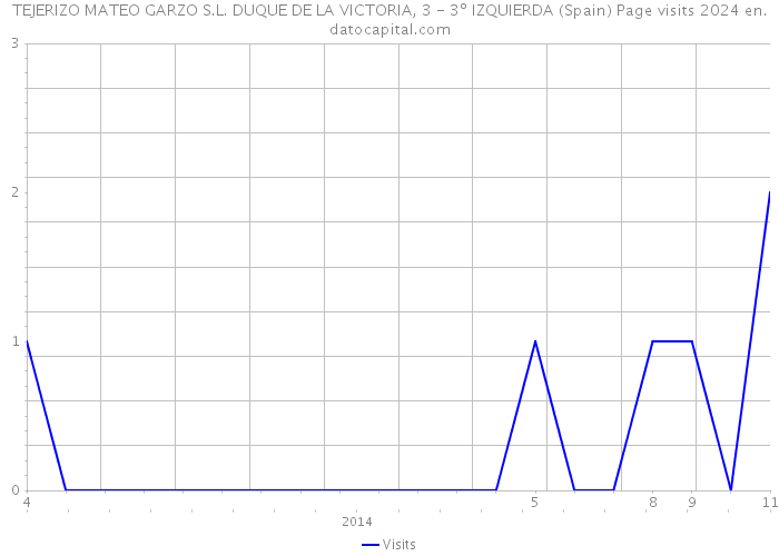 TEJERIZO MATEO GARZO S.L. DUQUE DE LA VICTORIA, 3 - 3º IZQUIERDA (Spain) Page visits 2024 